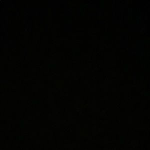 Meet your Posher, Maggie